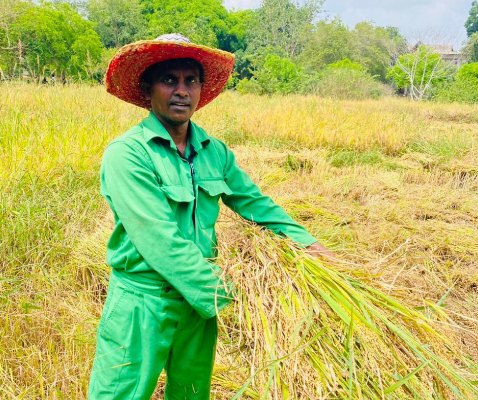 Supporting Smallholder Farmers